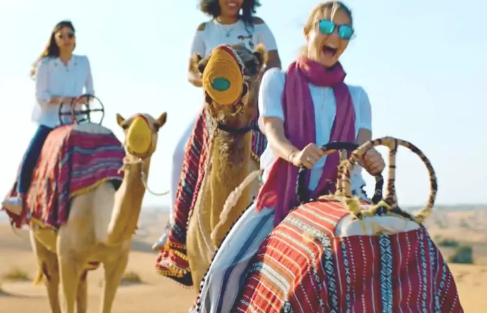 Camel Trekking Dubai